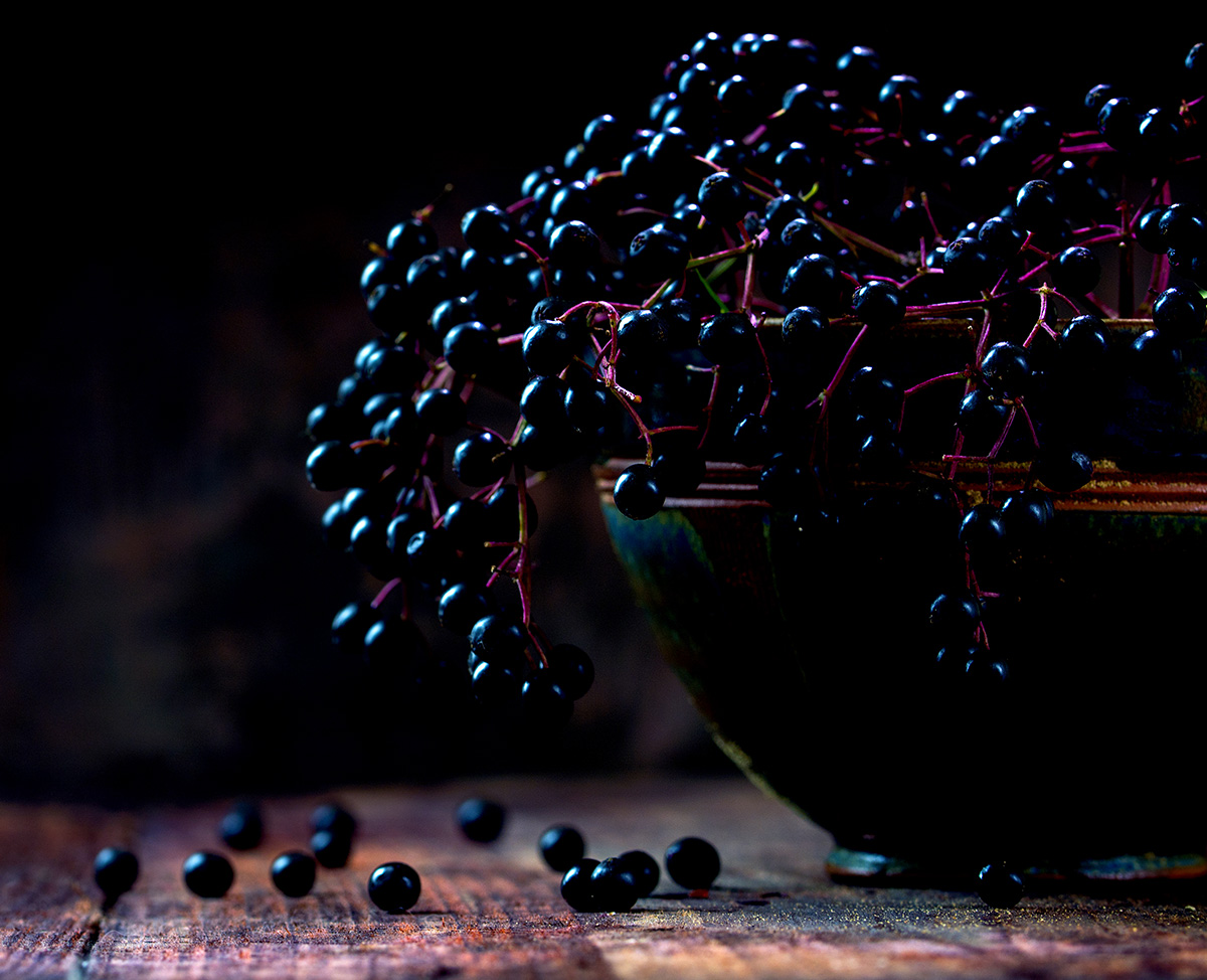 Elderberry Elderberry