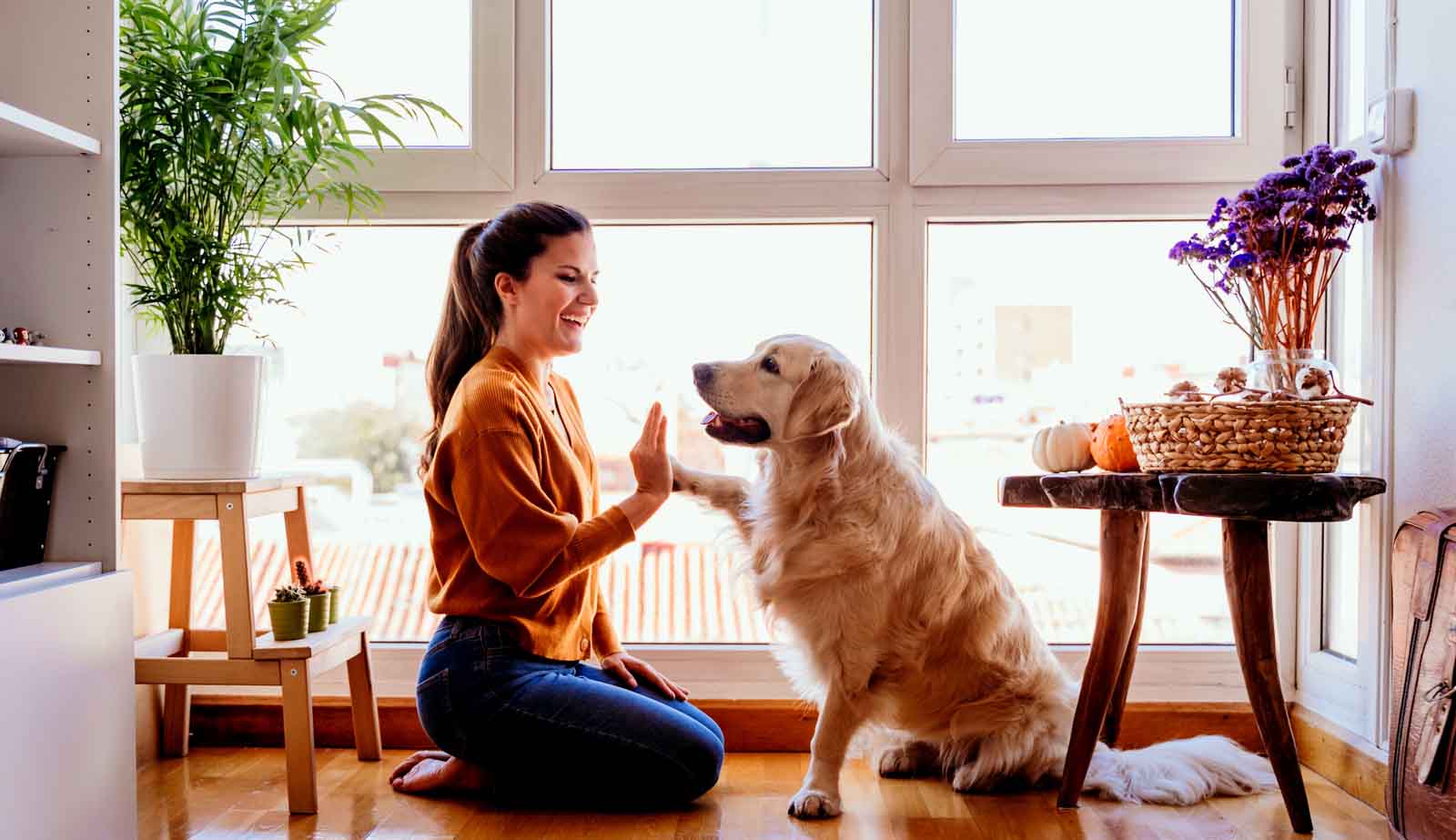 woman playing with dog