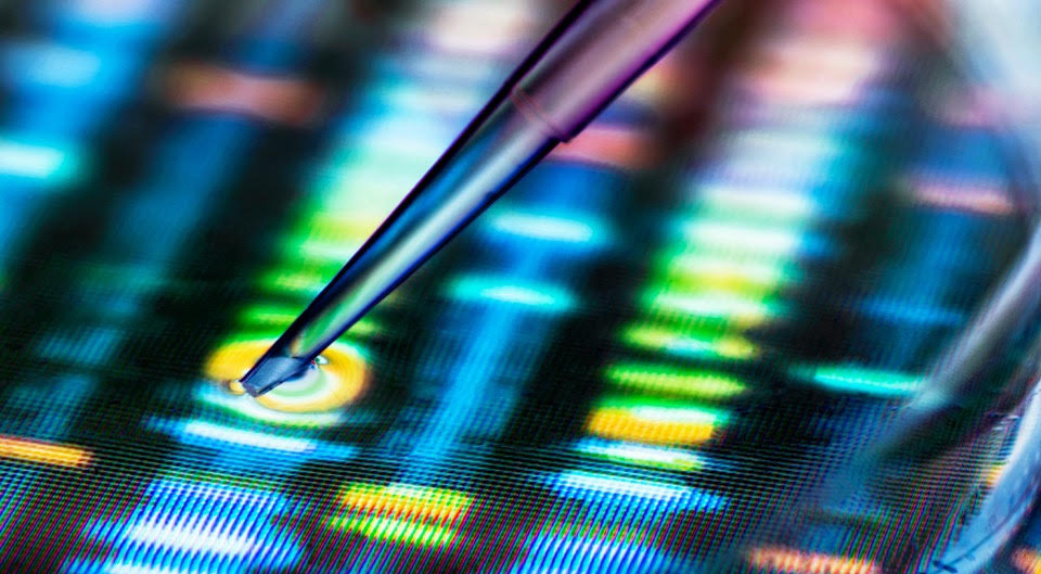 gene sequence image