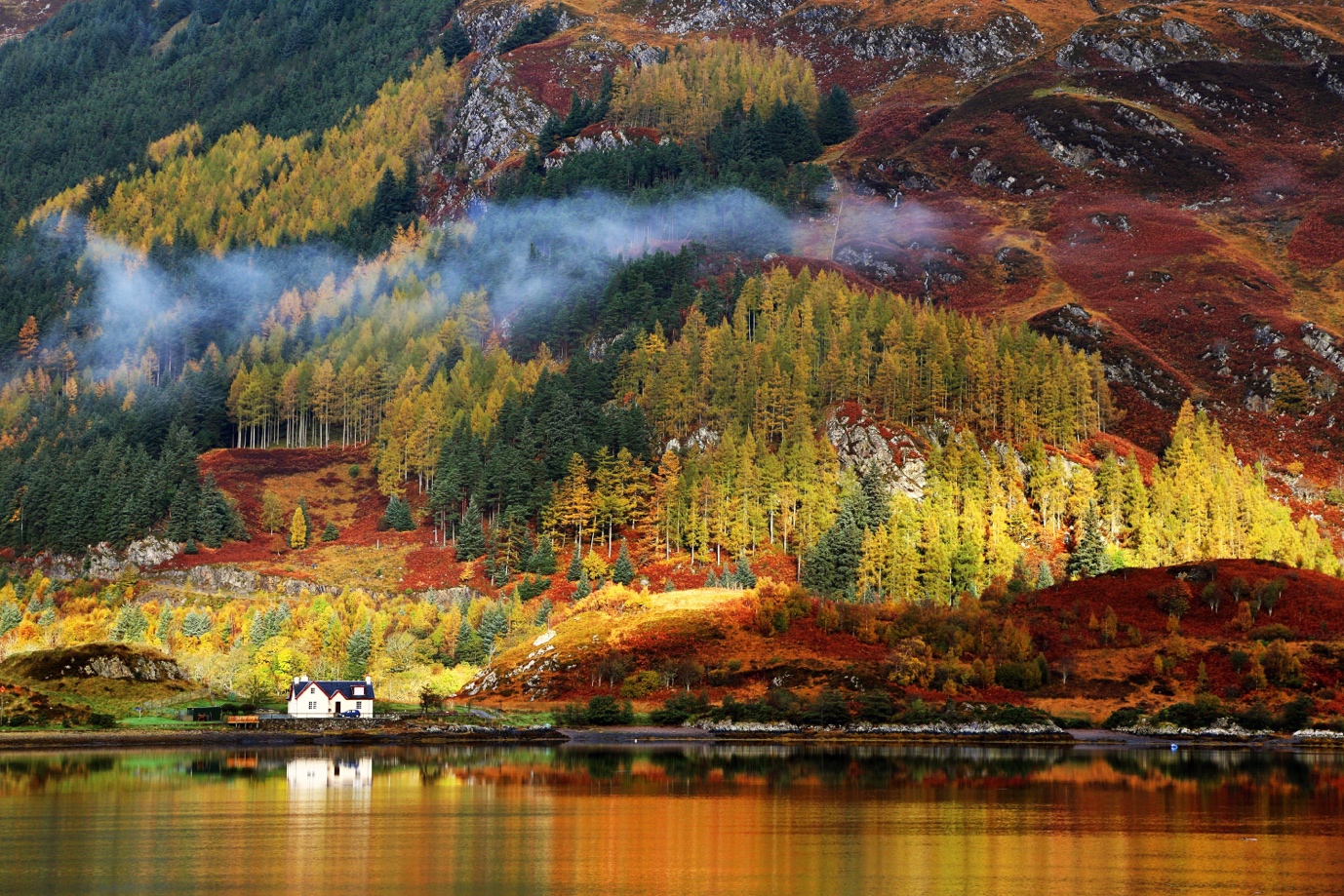 home next to water and forest