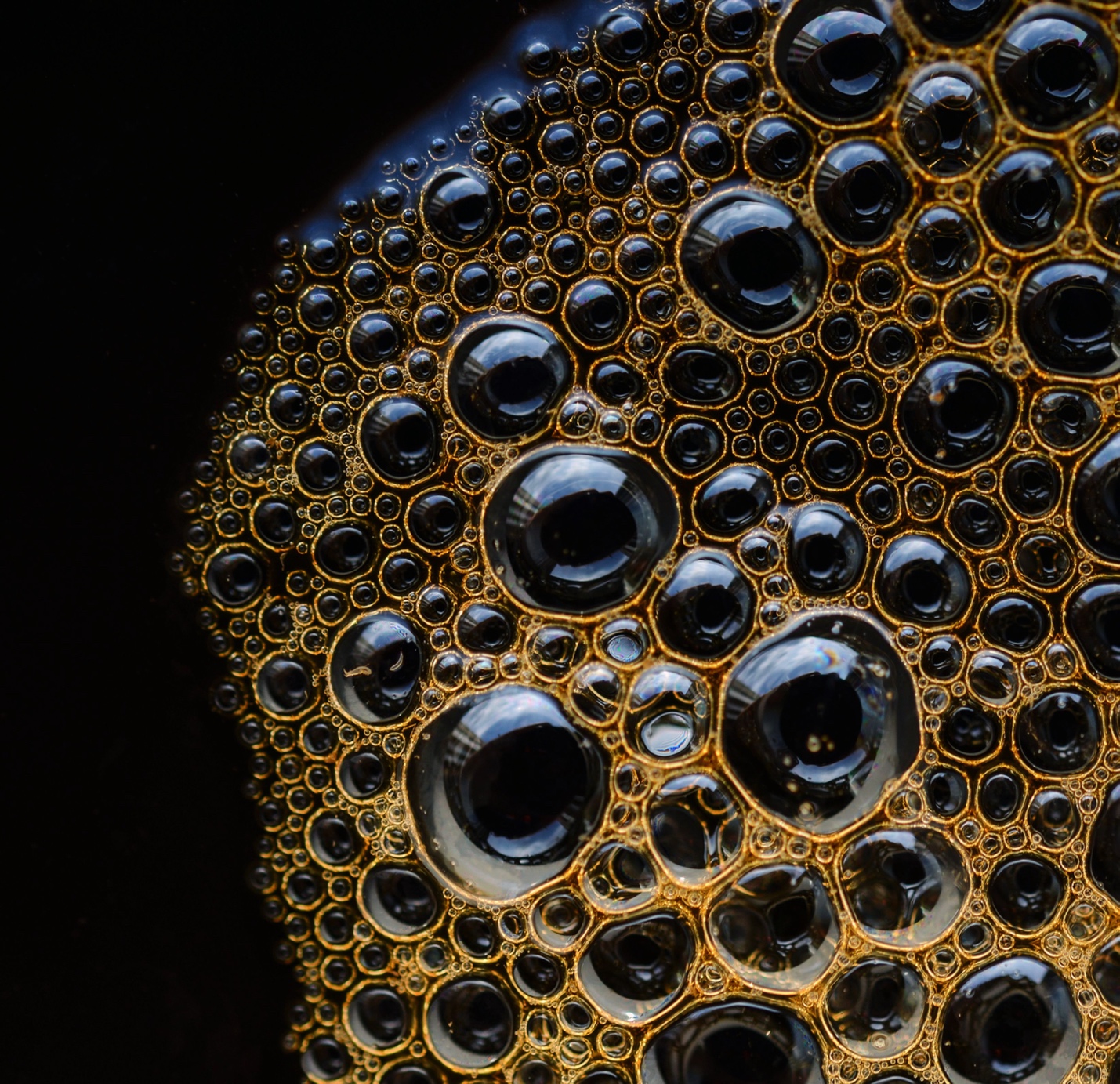 coffee foam