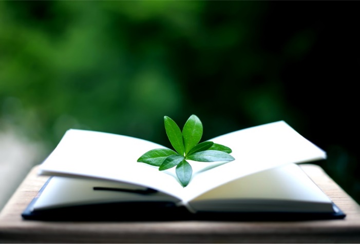 leaf in book