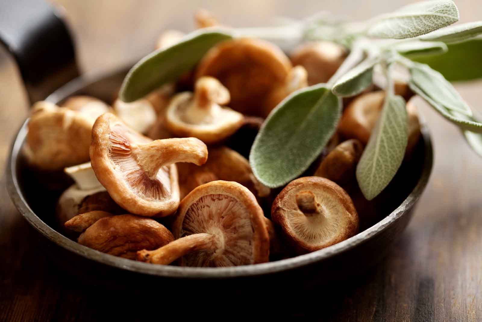 dried shiitake