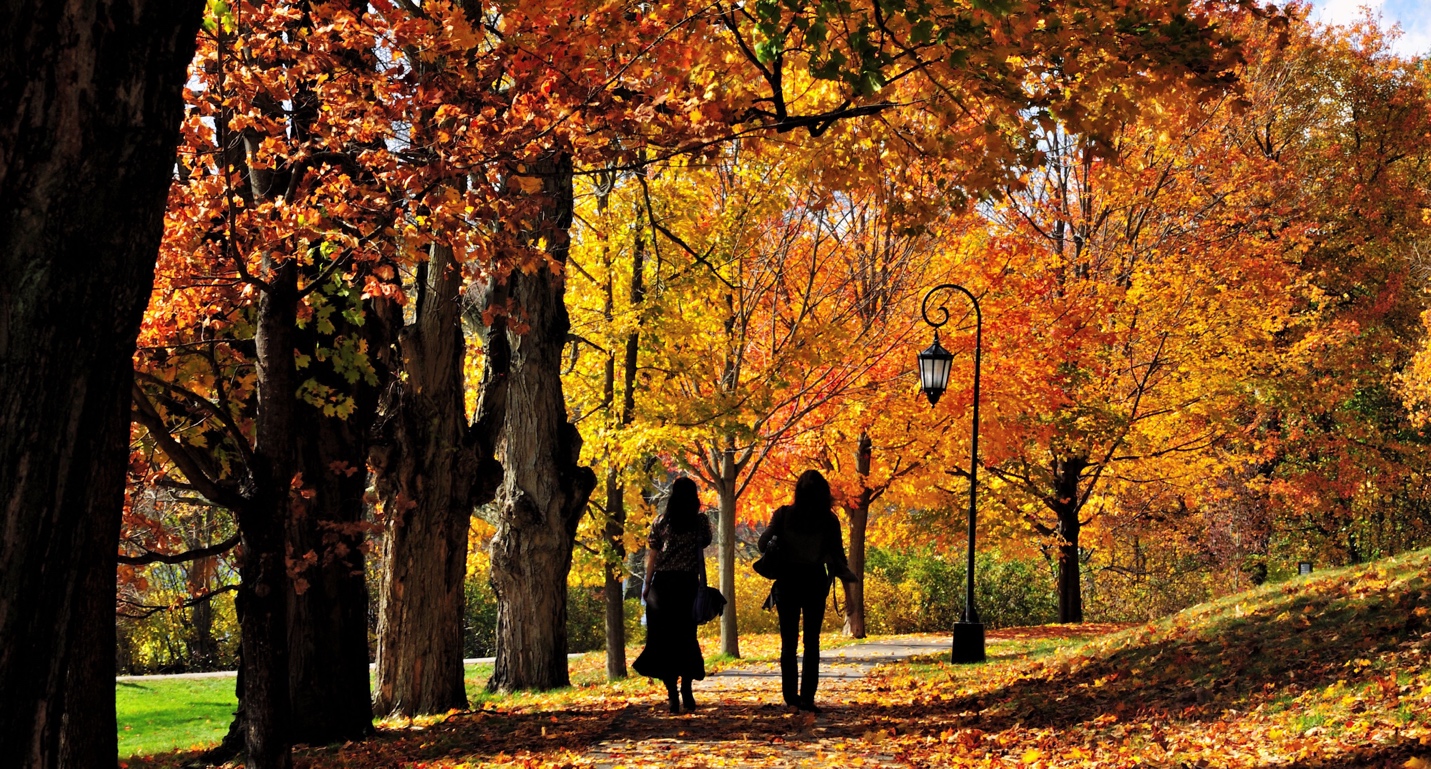 people walking through fall leaves
